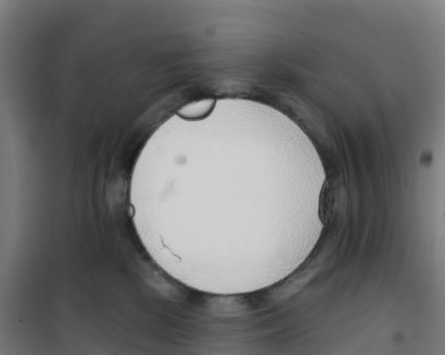 X0000100360281200807031845