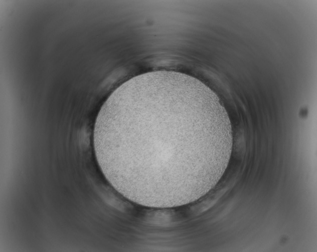X0000100360282200807031845