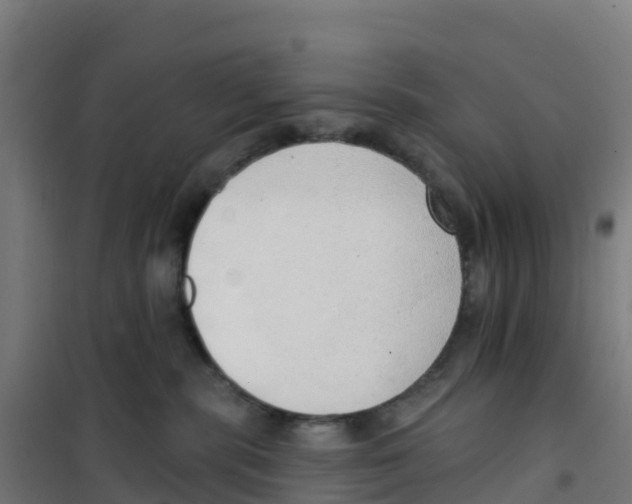 X0000100360283200807031845