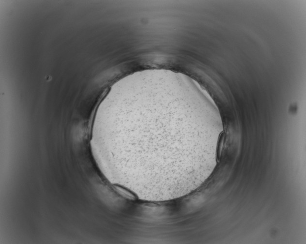 X0000100360284200807031845