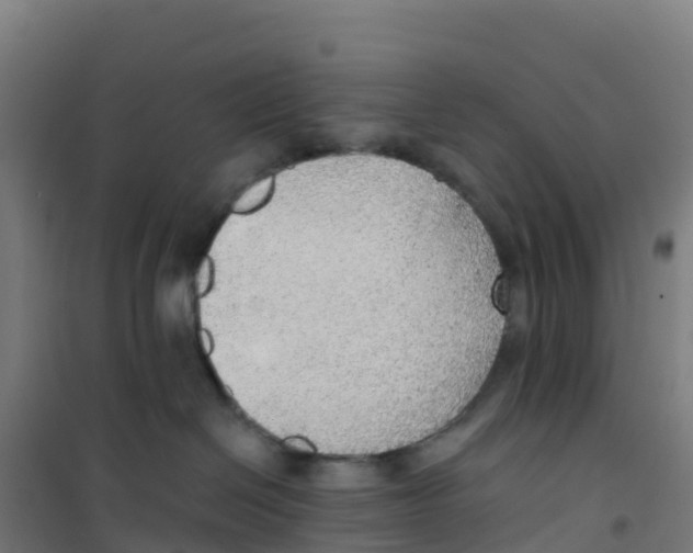 X0000100360286200807031845