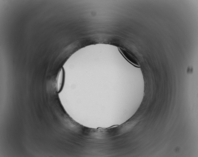 X0000100360288200807031845