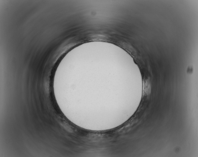 X0000100360291200807031844