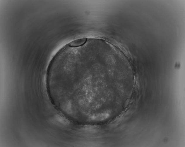 X0000100360292200807031844