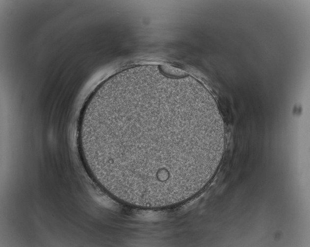 X0000100360293200807031844