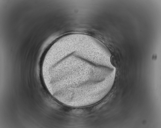X0000100360294200807031844