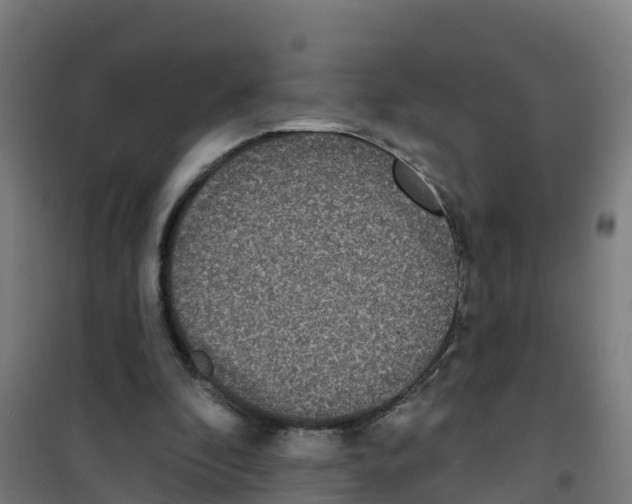 X0000100360296200807031844