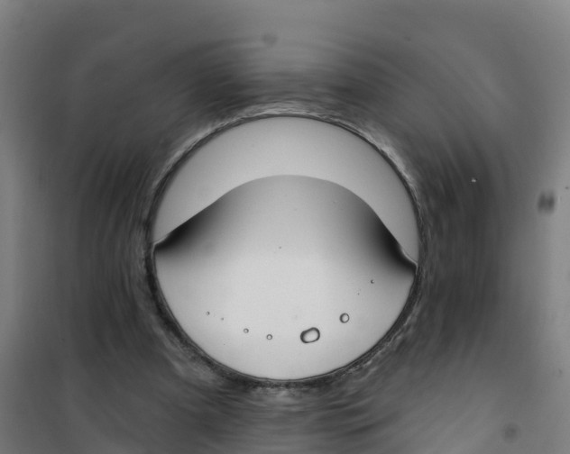 X0000100360297200807031844