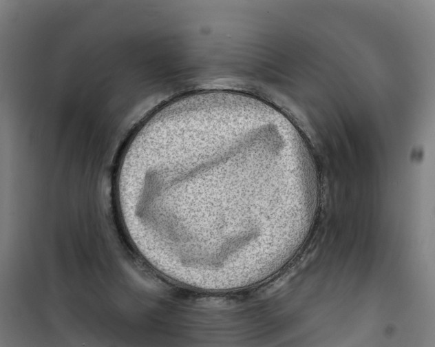 X0000100360298200807031844