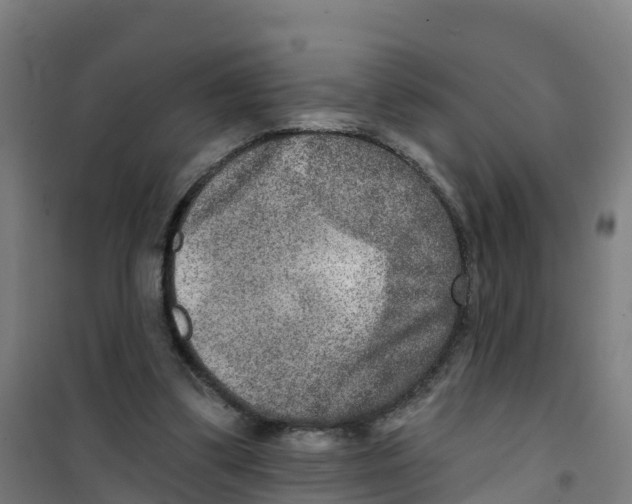 X0000100360299200807031844