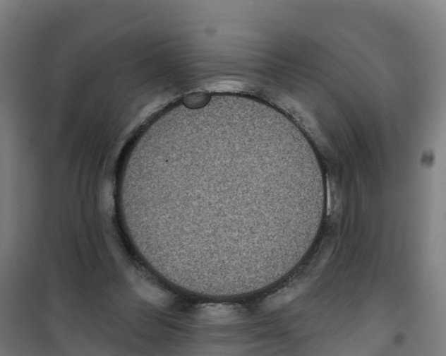 X0000100360300200807031844
