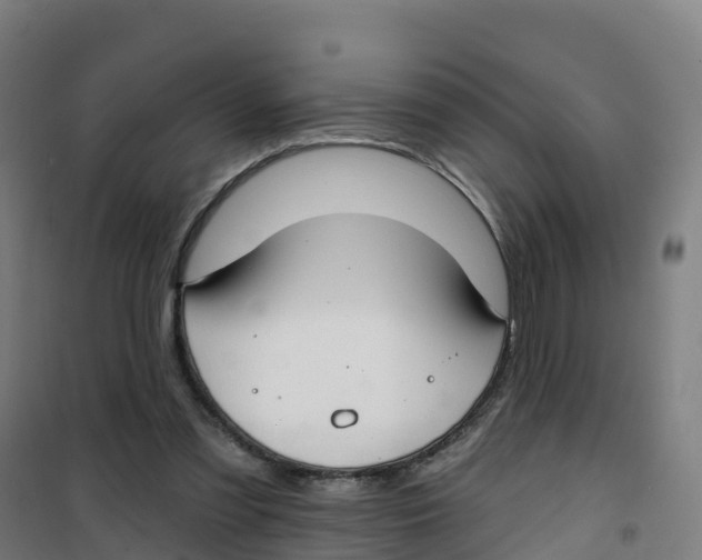 X0000100360301200807031844