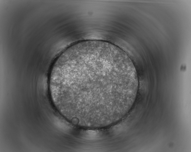 X0000100360302200807031844