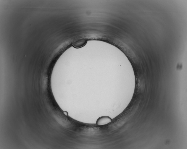 X0000100360304200807031844
