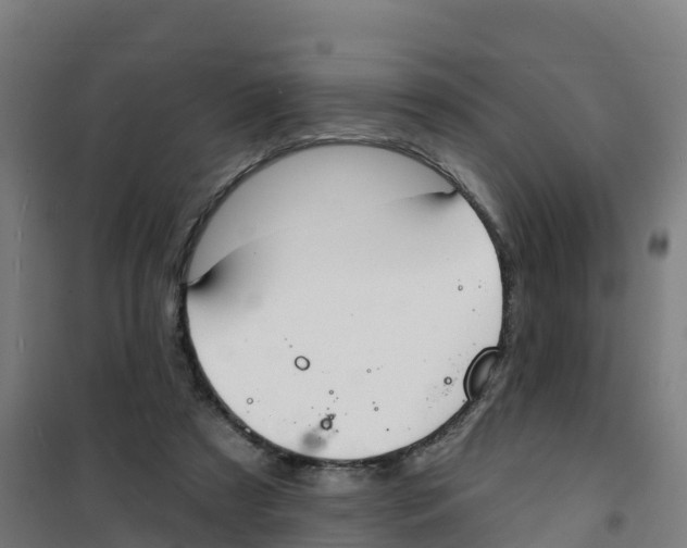 X0000100360305200807031844