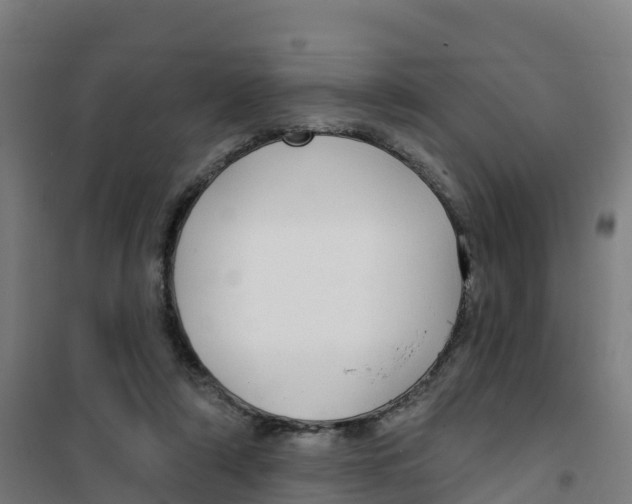 X0000100360306200807031844