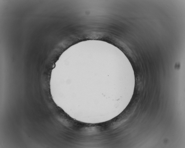 X0000100360307200807031844