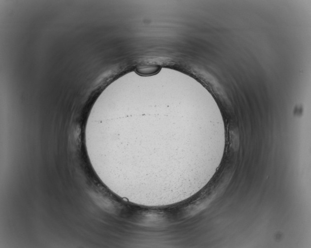 X0000100360308200807031844