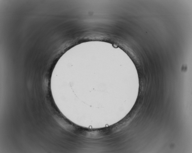 X0000100360309200807031844