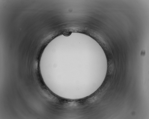 X0000100360310200807031844