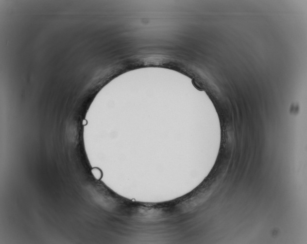 X0000100360311200807031844