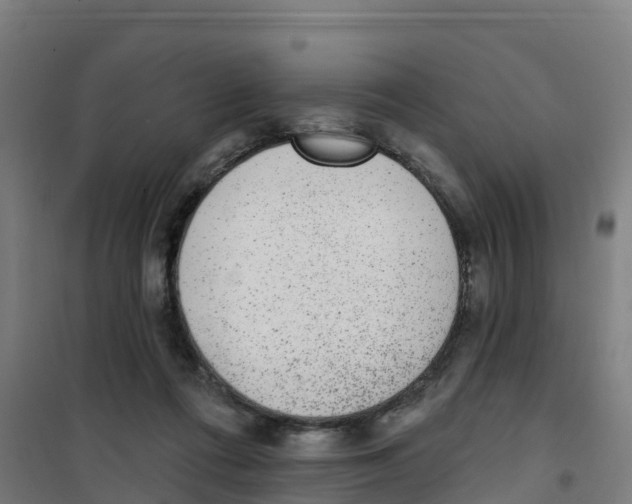 X0000100360312200807031844