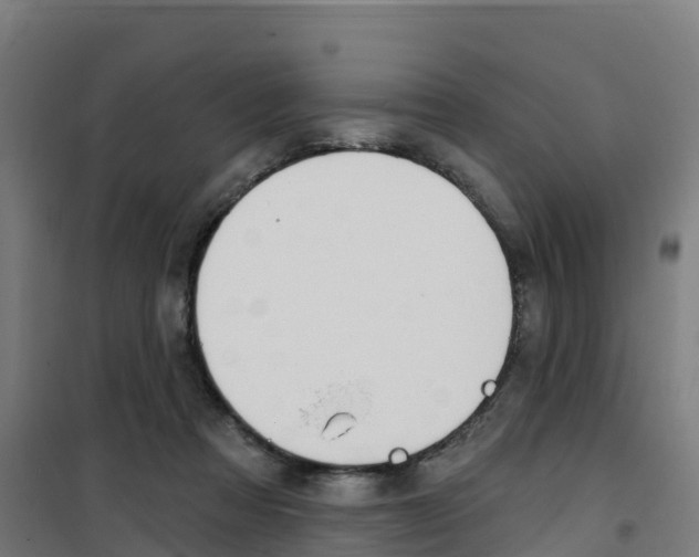 X0000100360313200807031844