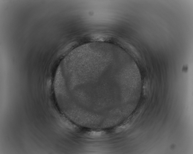 X0000100360314200807031844