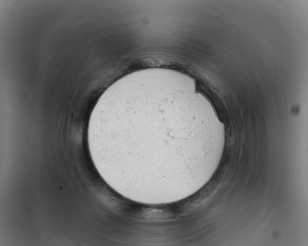 X0000100360315200807031844