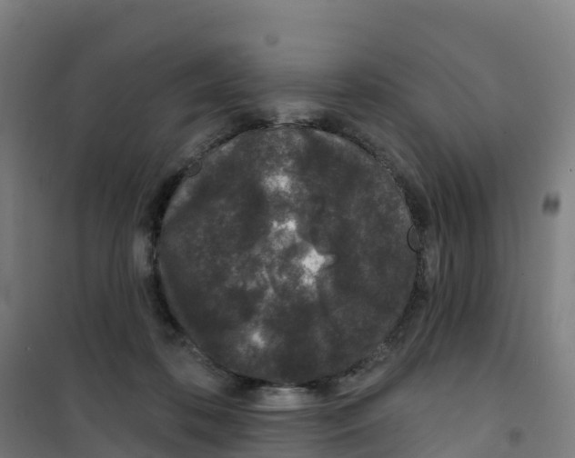 X0000100360316200807031844