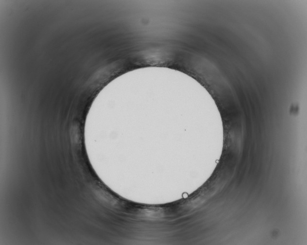 X0000100360317200807031844