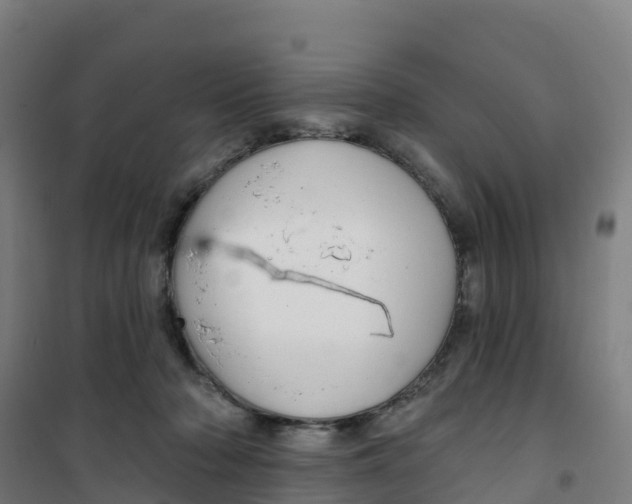 X0000100360318200807031844
