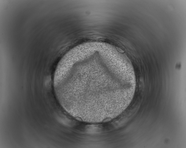 X0000100360320200807031844