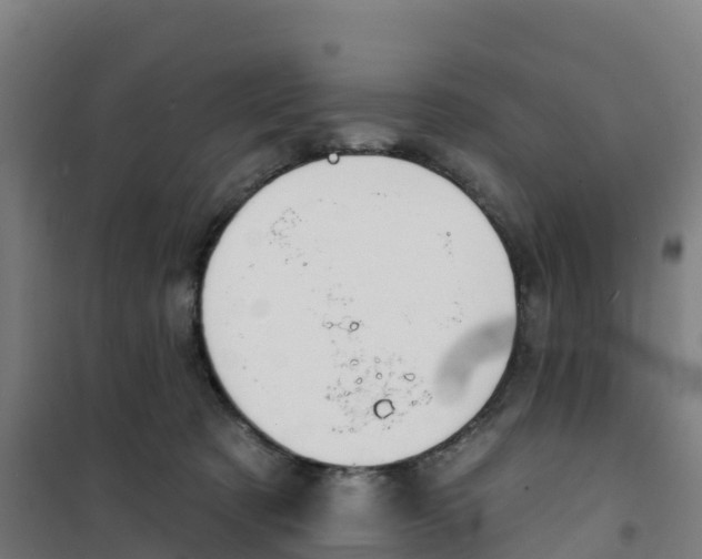 X0000100360321200807031844