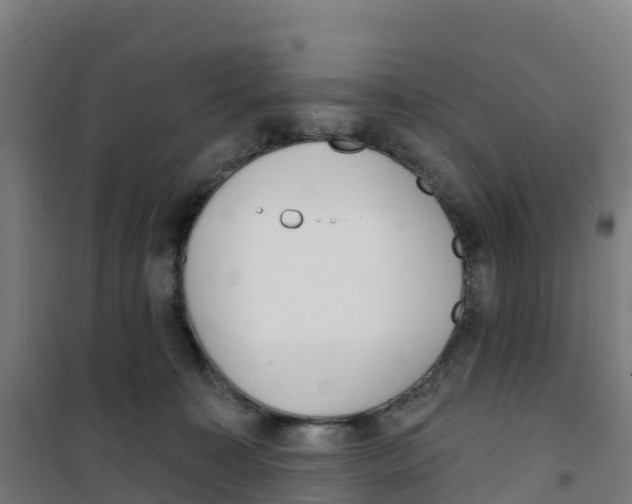 X0000100360323200807031844