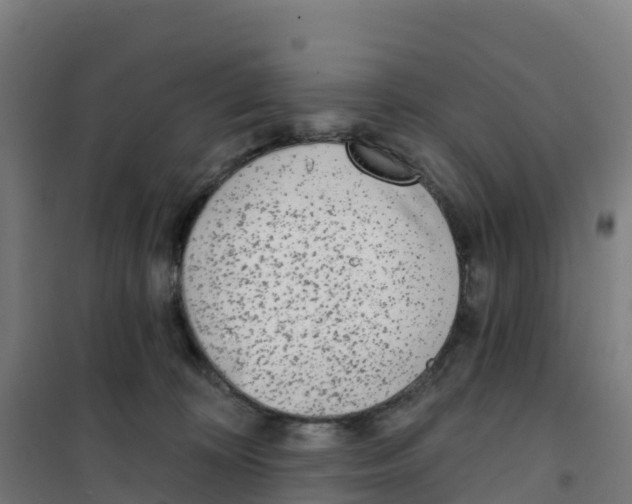 X0000100360324200807031844