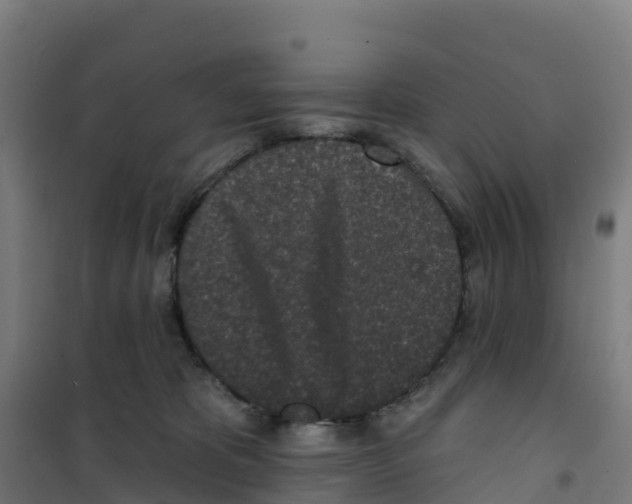 X0000100360325200807031844