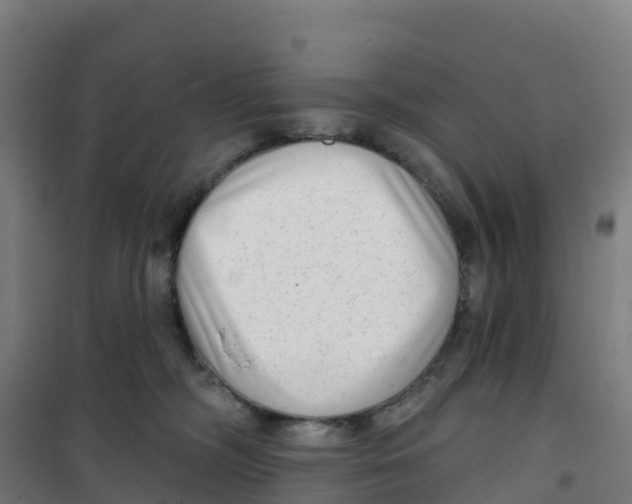X0000100360326200807031844