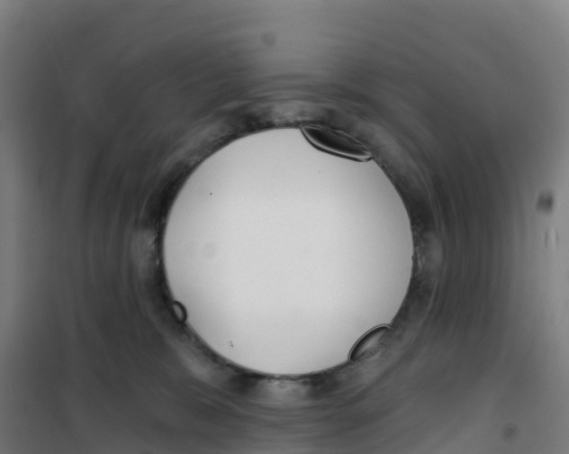 X0000100360327200807031844