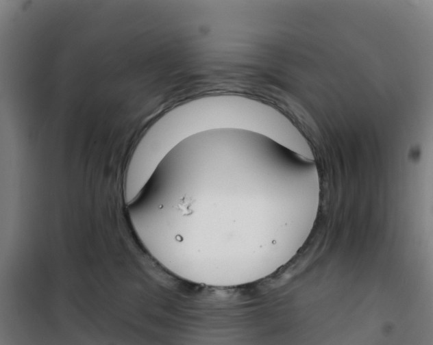 X0000100360329200807031844