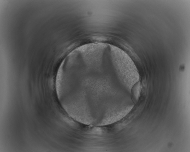 X0000100360330200807031844