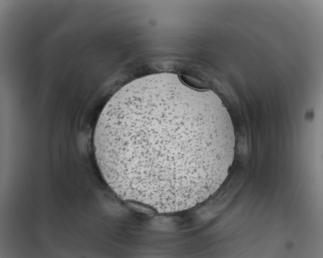 X0000100360332200807031844