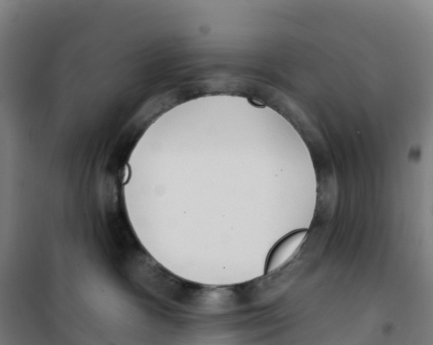 X0000100360333200807031844