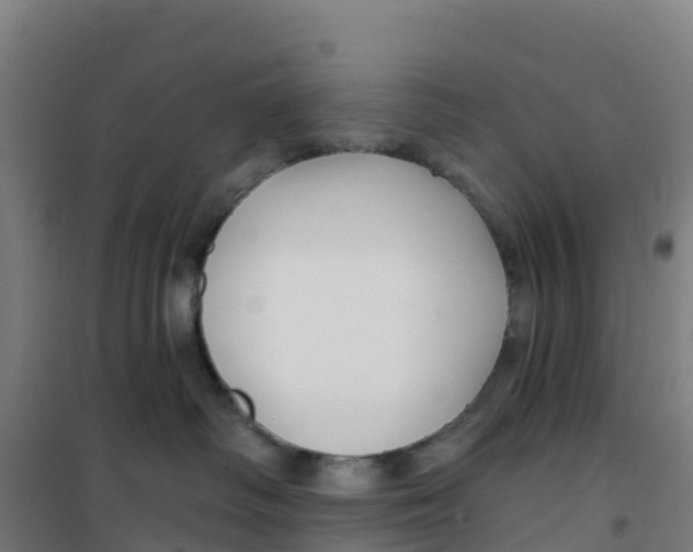 X0000100360334200807031844