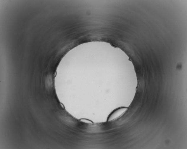 X0000100360335200807031844