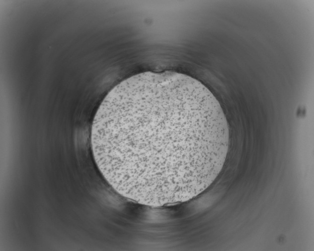 X0000100360336200807031844