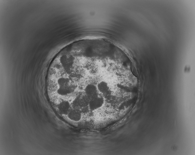 X0000100360337200807031843