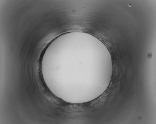 X0000100360338200807031843