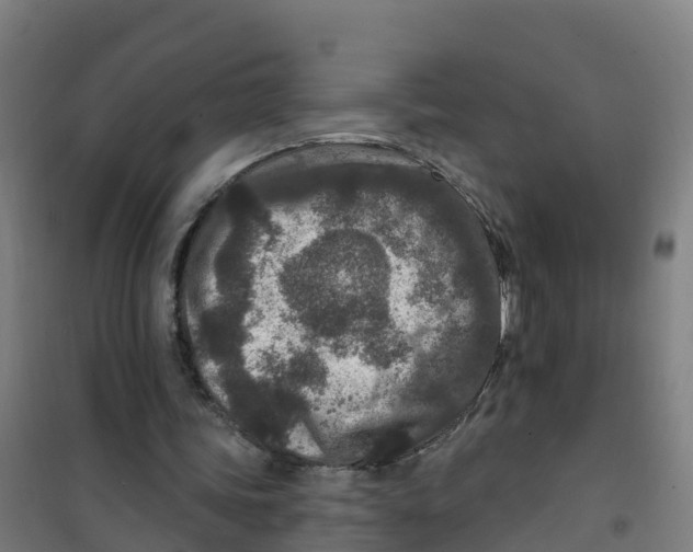 X0000100360339200807031843