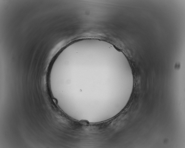 X0000100360340200807031843